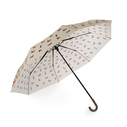 Regenschirm Hund