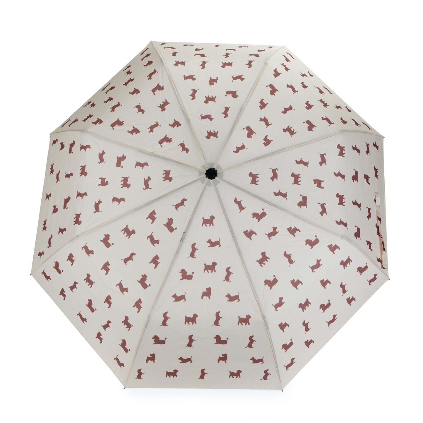 Regenschirm Hund