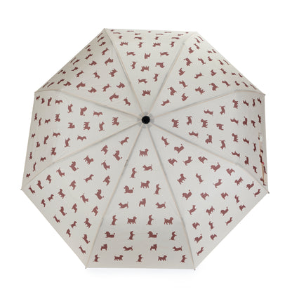 Regenschirm Hund