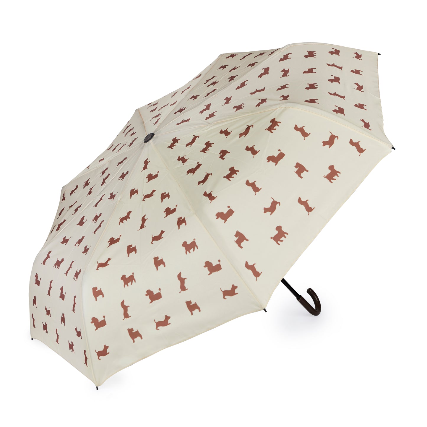 Regenschirm Hund