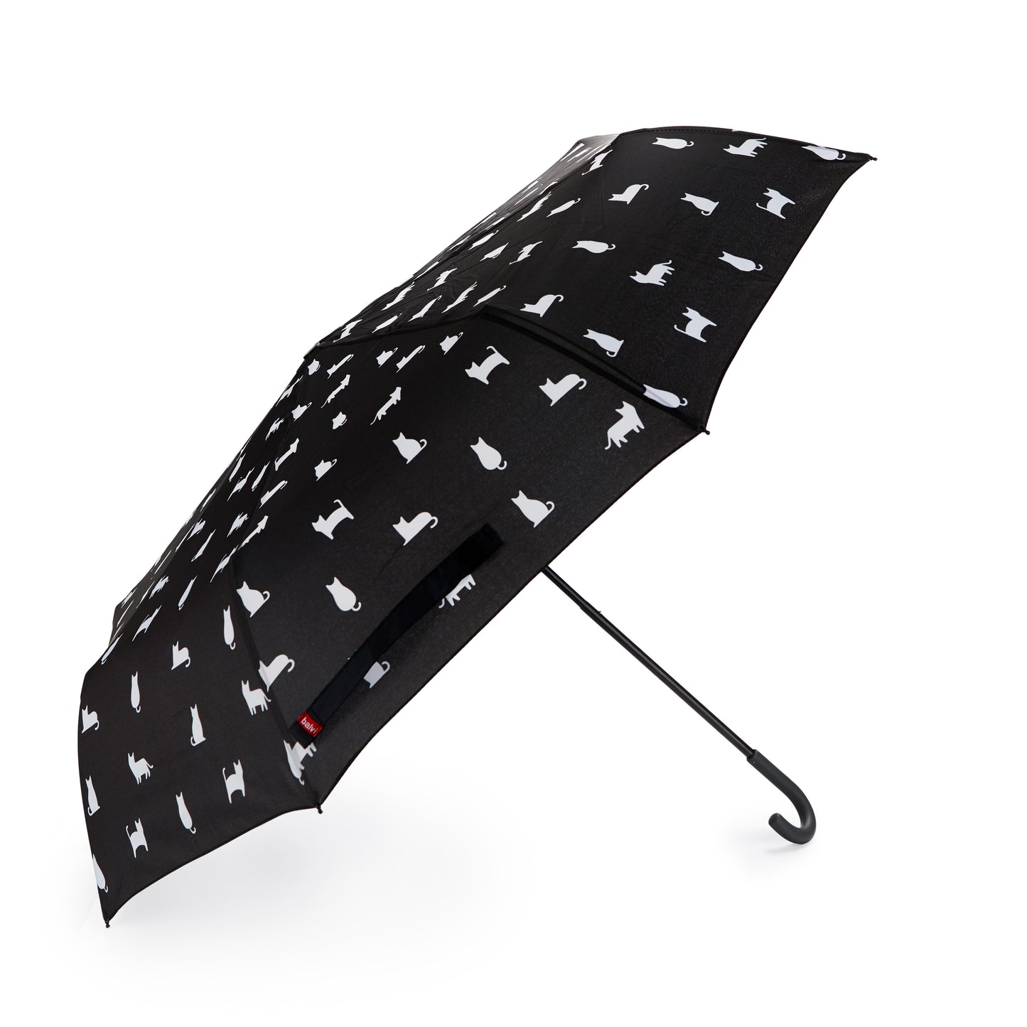 Regenschirm Katze