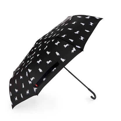 Regenschirm Katze