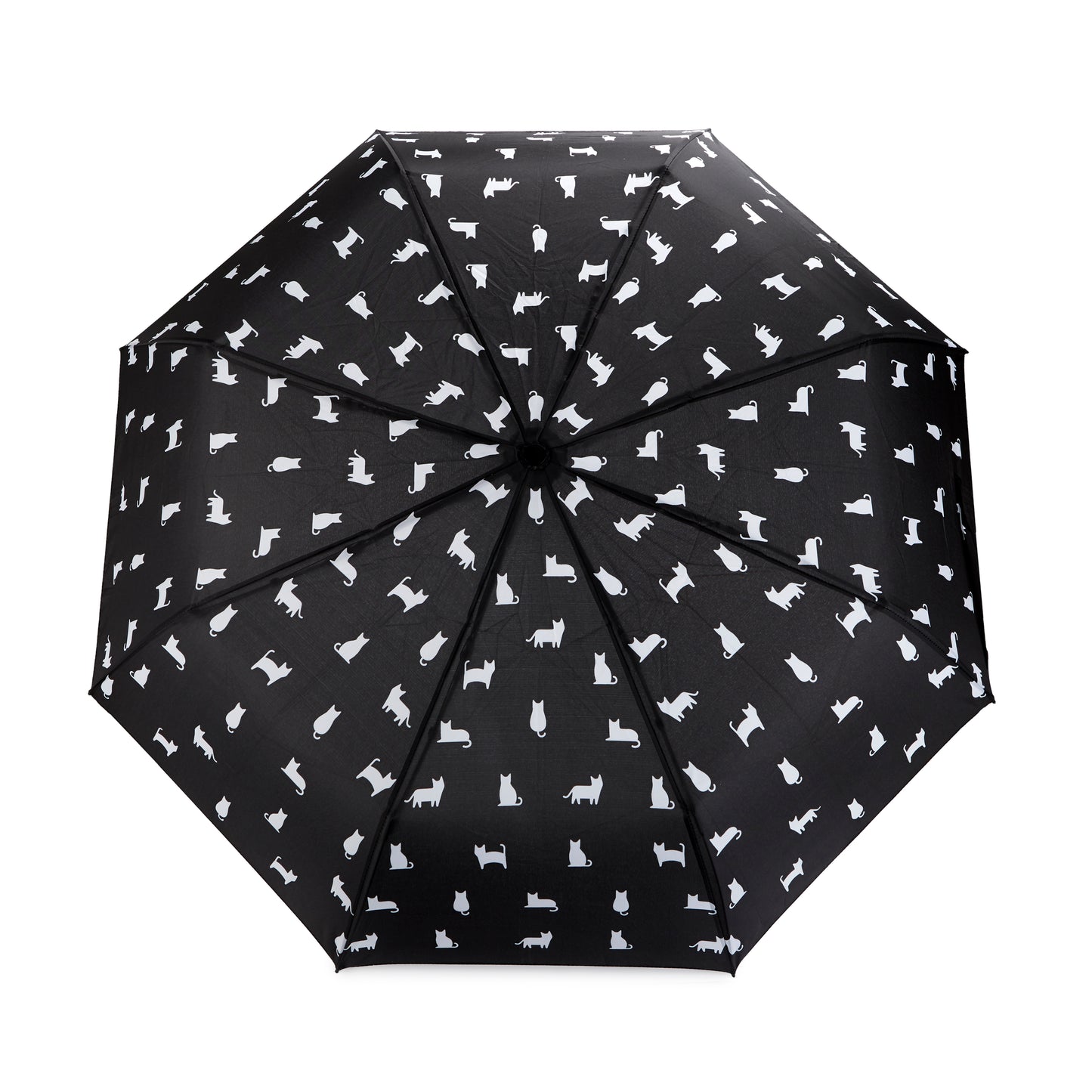 Regenschirm Katze