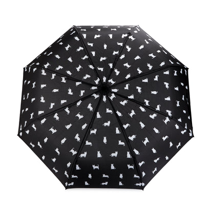 Regenschirm Katze