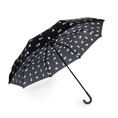 Regenschirm Katze