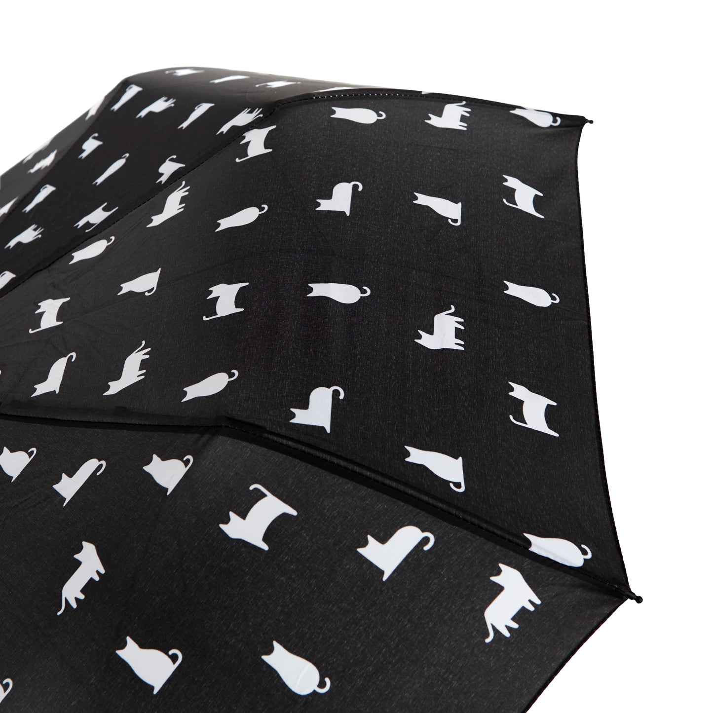 Regenschirm Katze