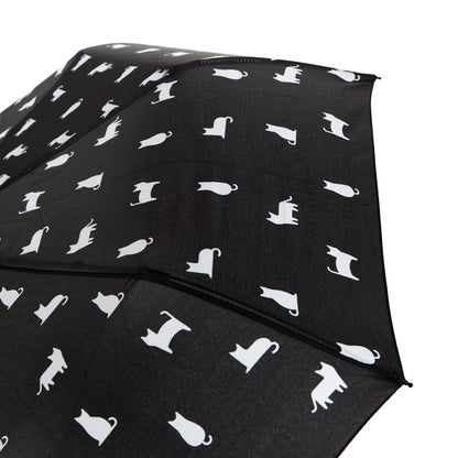 Regenschirm Katze