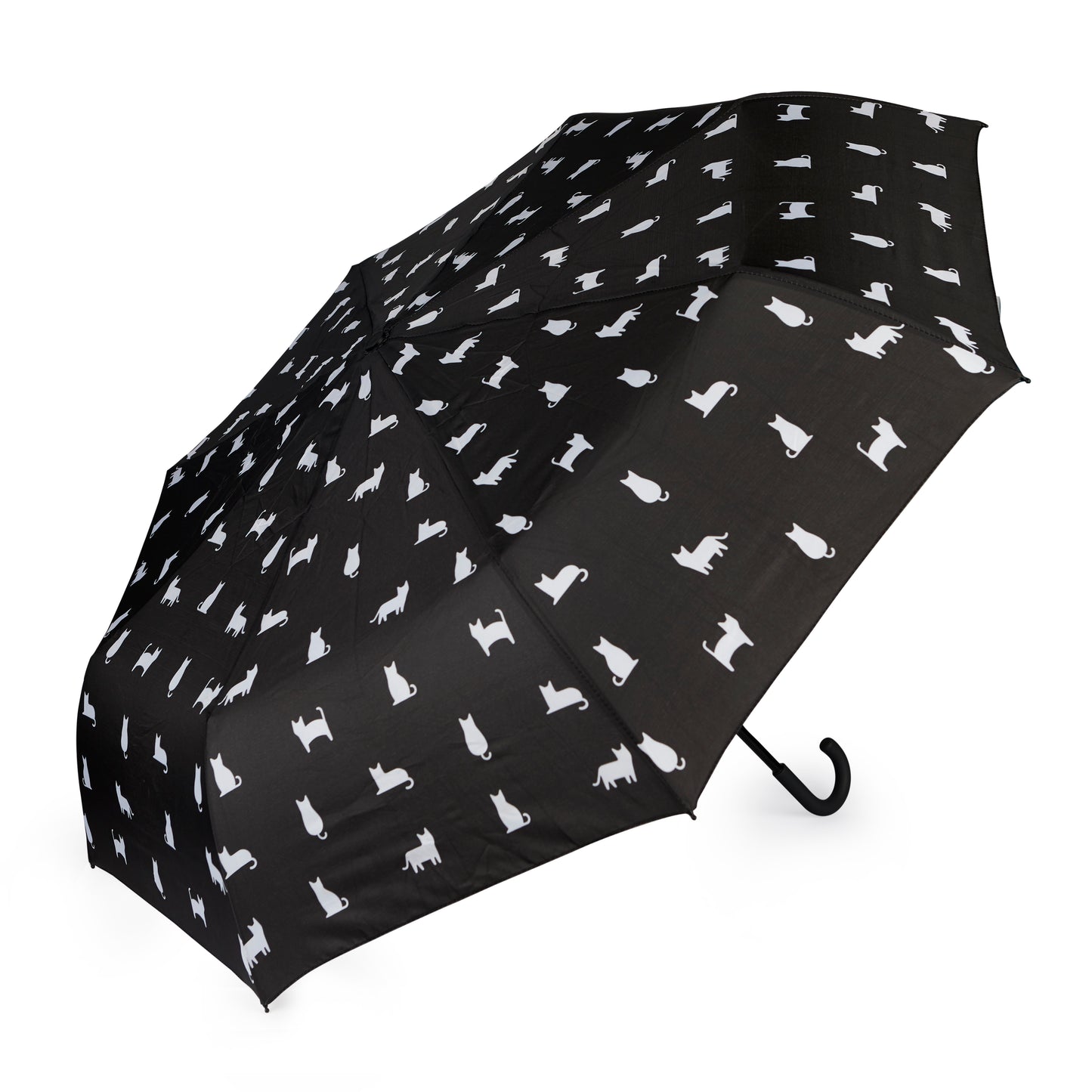 Regenschirm Katze