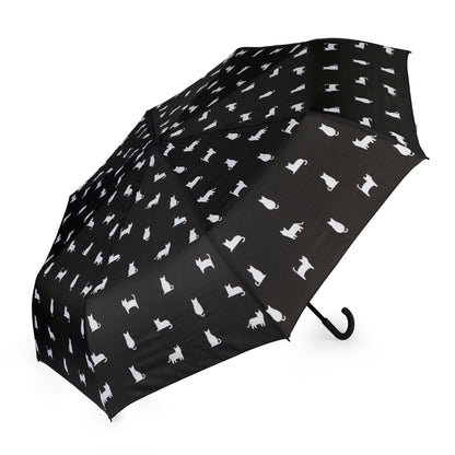 Regenschirm Katze