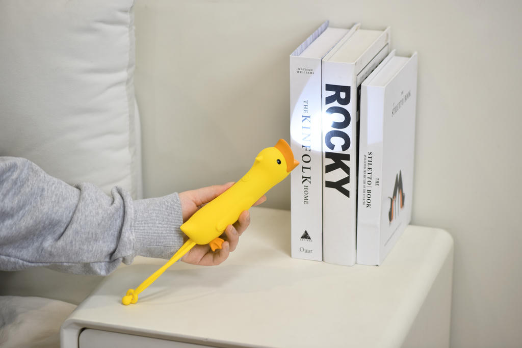 Enten Taschenlampe mit Akku – wiederaufladbares LED-Gadget mit 2 Modi